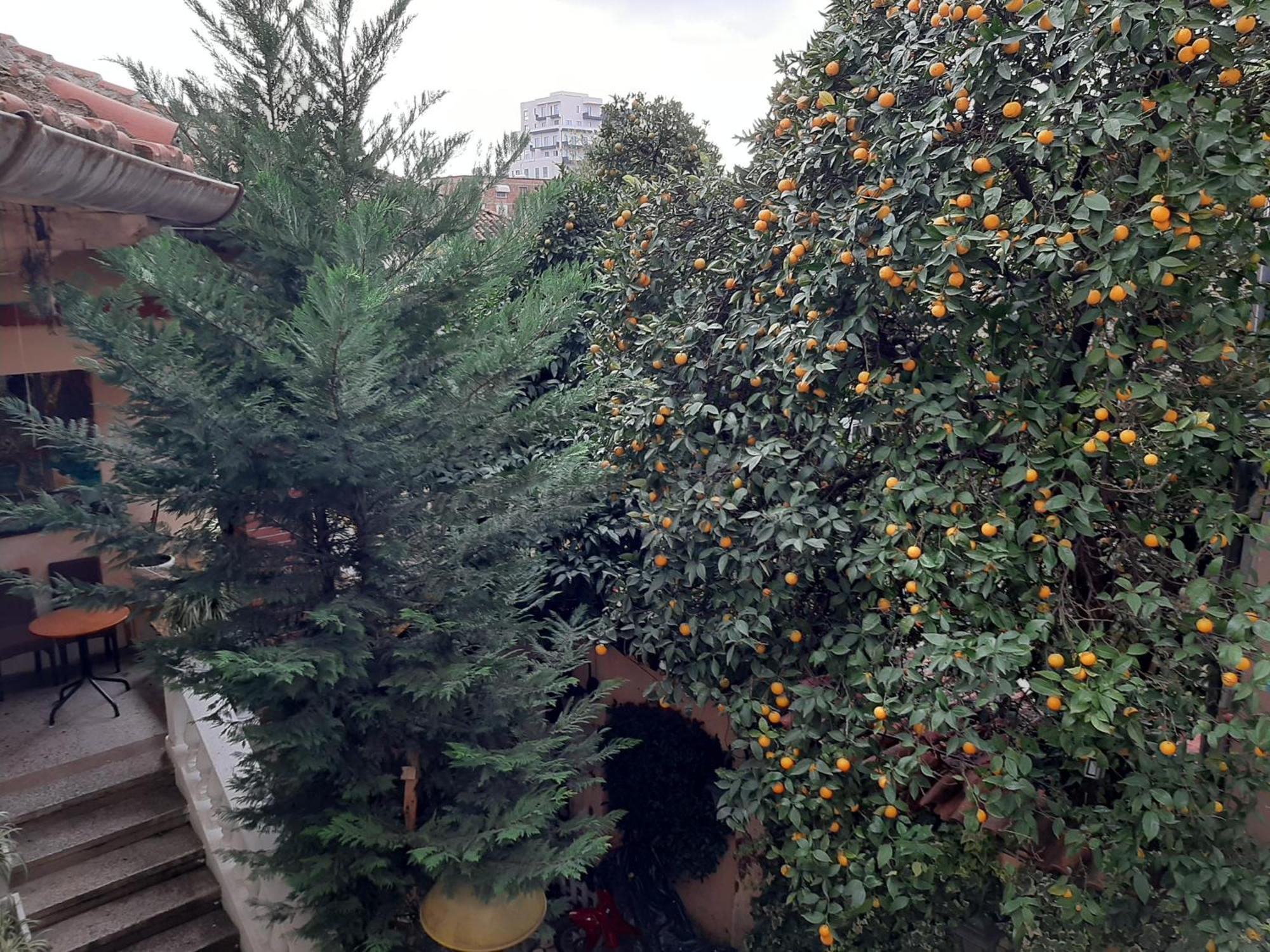 Enki'S Guesthouse Tiran Dış mekan fotoğraf